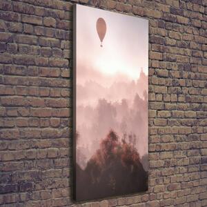 Tablou canvas Flying pădure balon