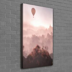 Tablou canvas Flying pădure balon