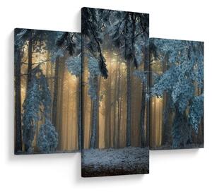 Tablou cu pădure înzăpezită (90x60 cm)