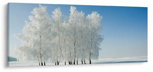 Tablou - Peisaj înzăpezit (120x50 cm)