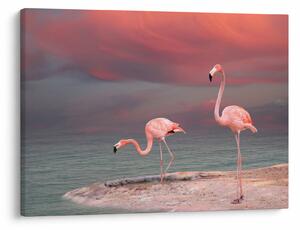 Tablou - Flamingo (70x50 cm)