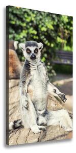 Tablou canvas Lemur