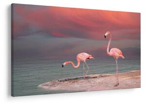 Tablou - Flamingo (90x60 cm)