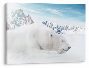 Tablou - Urs polar (70x50 cm)