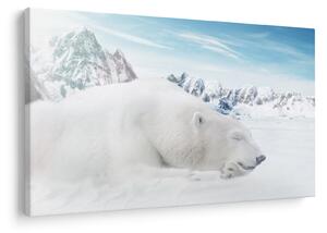 Tablou - Urs polar (90x60 cm)