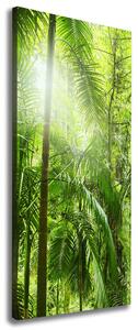 Tablou pe pânză canvas pădurea tropicală
