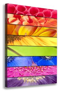 Print pe canvas flori colorate