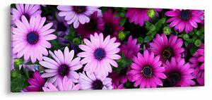 Tablou - Flori (120x50 cm)