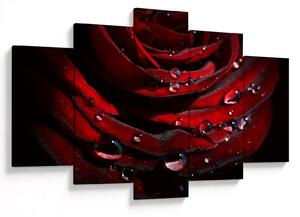 Tablou - Trandafir (150x105 cm)