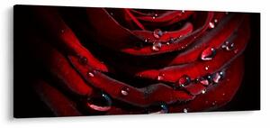Tablou - Trandafir (120x50 cm)