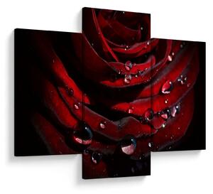 Tablou - Trandafir (90x60 cm)