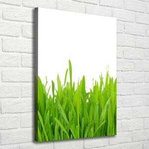 Imprimare tablou canvas iarbă verde