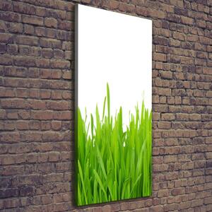 Imprimare tablou canvas iarbă verde