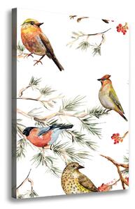 Tablou canvas Păsări și conifere