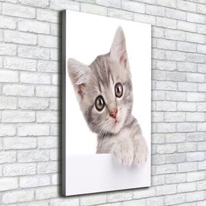 Print pe canvas pisică gri