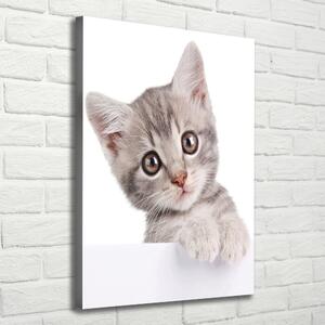 Print pe canvas pisică gri