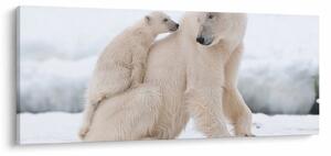 Tablou - Urs polar (120x50 cm)