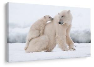 Tablou - Urs polar (90x60 cm)