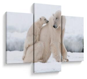 Tablou - Urs polar (90x60 cm)