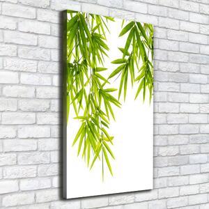 Print pe canvas frunze de bambus
