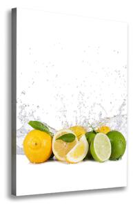 Imprimare tablou canvas citrice