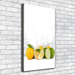 Imprimare tablou canvas citrice