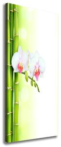 Tablouri tipărite pe pânză Orhidee și bambus