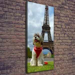 Print pe pânză Câine din Paris