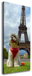 Print pe pânză Câine din Paris