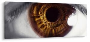 Tablou - Ochi (120x50 cm)