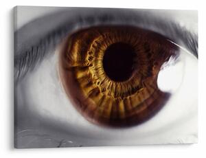 Tablou - Ochi (70x50 cm)