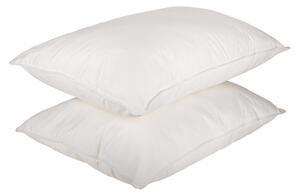 Set 2 Perne din pene de gasca, 50x70, moale