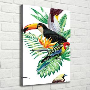 Tablou pe pânză canvas păsări tropicale