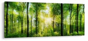 Tablou - Răsărit în pădure (120x50 cm)