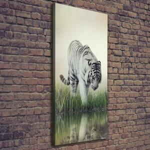 Tablou pe pânză canvas tigru alb