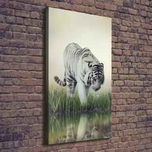 Tablou pe pânză canvas tigru alb