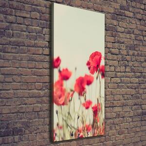 Imprimare tablou canvas wildflowers maci