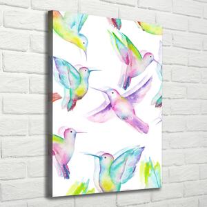 Tablou canvas colibri colorate