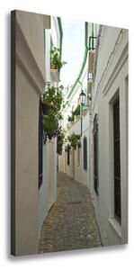 Print pe canvas străzile din Andaluzia