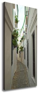 Print pe canvas străzile din Andaluzia
