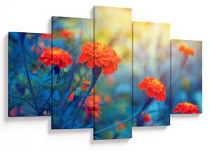Tablou - Flori portocalii (150x105 cm)