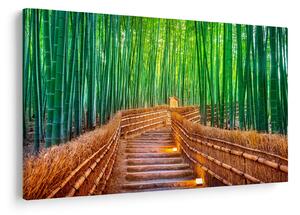 Tablou - Pădure de bambus japoneză (90x60 cm)