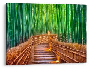 Tablou - Pădure de bambus japoneză (70x50 cm)