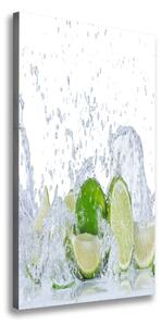 Tablou pe pânză canvas lămâi verzi