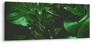 Tablou - Frunze de palmier (120x50 cm)