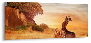 Tablou Girafe în Africa (120x50 cm)