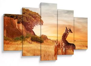 Tablou Girafe în Africa (150x105 cm)