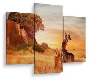 Tablou Girafe în Africa (90x60 cm)