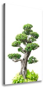 Pictură pe pânză copac bonsai
