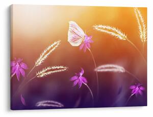 Tablou - Fluture roz (70x50 cm)